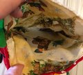 Christmas Stocking NEW Handmade BUCILLA Snack Time Santa Claus LINED Custom Personalized Holiday Stockings Finished Bucilla Kit