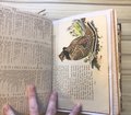 Handmade Junk Journal - 3 Signature Journal - Birds Fun Journal Pages - Handmade and Upcycled! Journaling Crafting Scrapbooking
