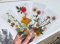 Real Flower Bookmark | Handmade Dried Bookmark | Wild Flower Bookmark | Floral Bookmark | Real Pressed Flower Bookmark |