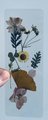 Handmade Bookmarks | Dried Flower Bookmark | Wild Flower Bookmark | Floral Bookmark | Real Pressed Flower Bookmark |