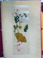 Handmade Bookmarks | Dried Flower Bookmark | Wild Flower Bookmark | Floral Bookmark | Real Pressed Flower Bookmark |