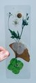 Handmade Bookmarks | Dried Flower Bookmark | Wild Flower Bookmark | Floral Bookmark | Real Pressed Flower Bookmark |