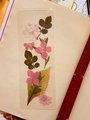 Dried Flower Bookmark | Handmade Bookmark | Wild Flower Bookmark | Pink & Purple Flowers | Floral Bookmark | Real Pressed Flower Bookmark |