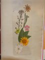 Real Flower Bookmark | Handmade Dried Bookmark | Wild Flower Bookmark | Floral Bookmark | Real Pressed Flower Bookmark |