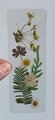 Real Flower Bookmark | Handmade Dried Bookmark | Wild Flower Bookmark | Floral Bookmark | Real Pressed Flower Bookmark |