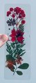 Handmade Bookmarks | Dried Flower Bookmark | Wild Flower Bookmark | Floral Bookmark | Real Pressed Flower Bookmark |