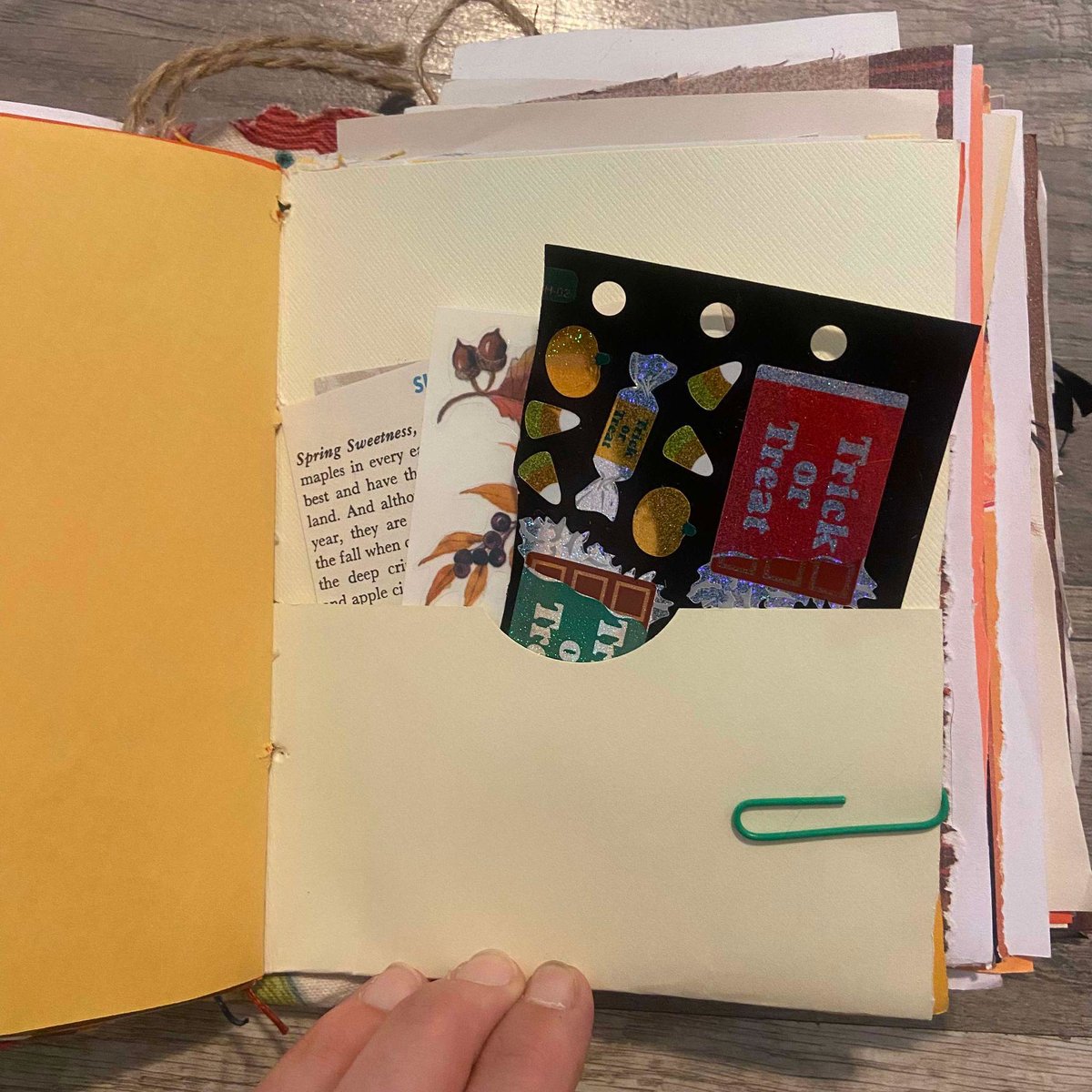 Autumn / Fall Thanksgiving Handmade Junk Journal - 3 Signature Journal - Birds Fun Journal Pages - Writing - Journaling - Scrapbook