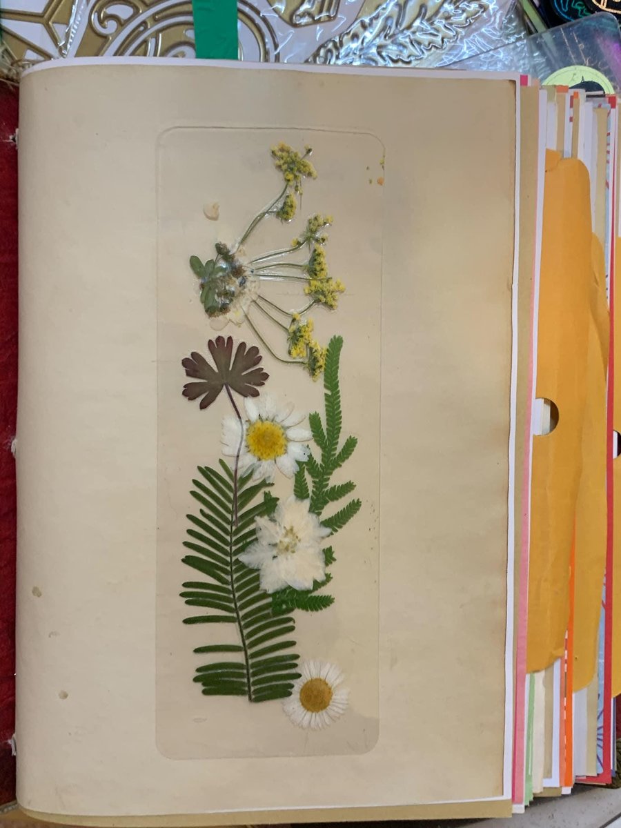 Real Flower Bookmark | Handmade Dried Bookmark | Wild Flower Bookmark | Floral Bookmark | Real Pressed Flower Bookmark |