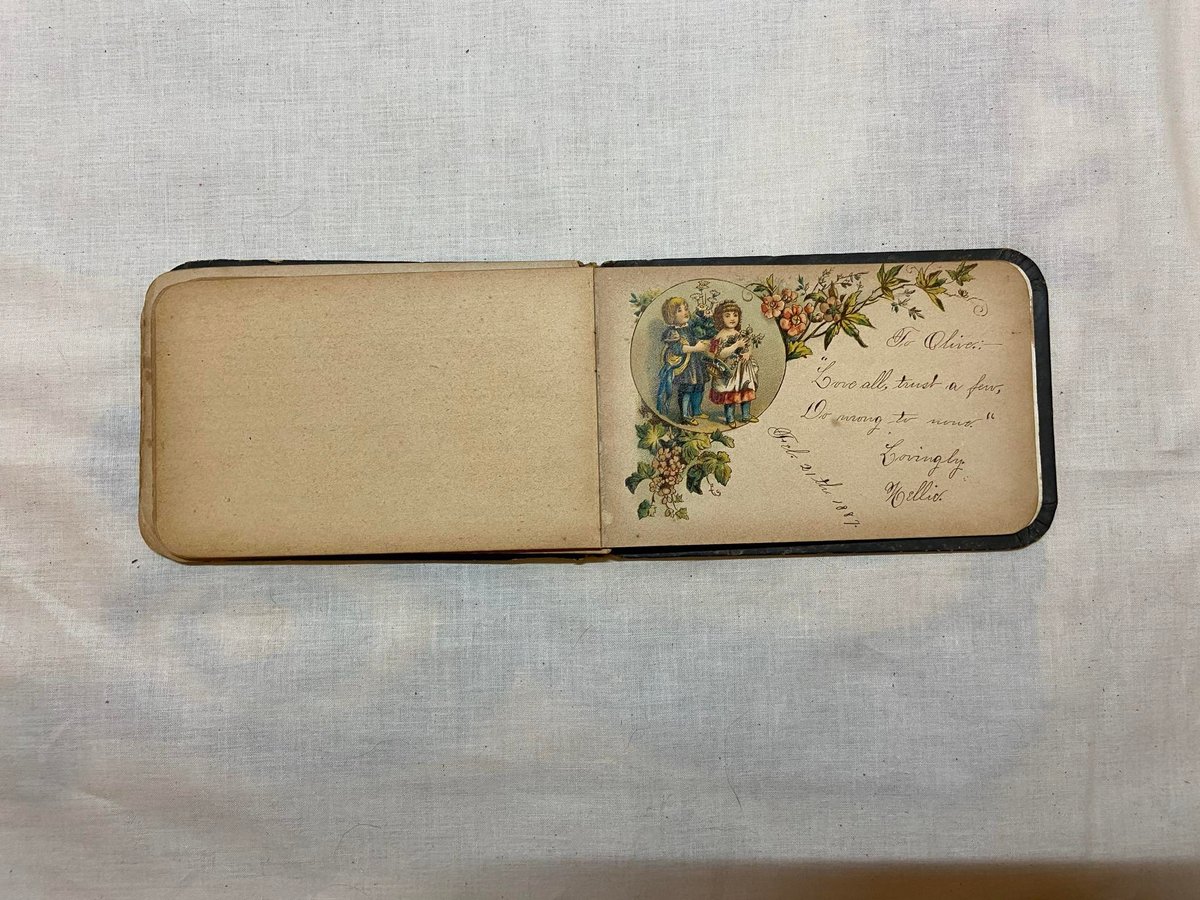 Rare 1880's AUTOGRAPH BOOK- Gorgeous! Antique Victorian Vintage Old World "Olive Stiltz"