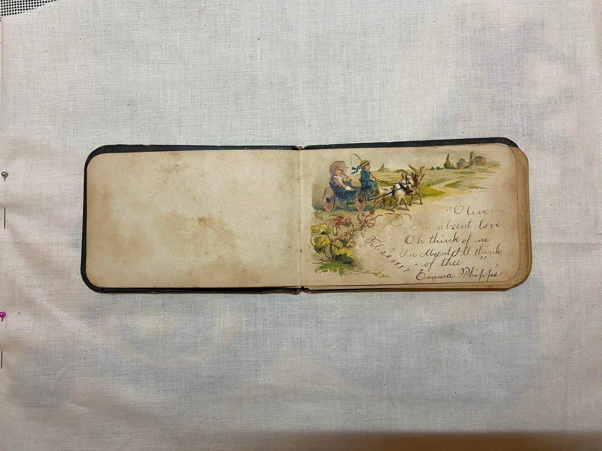 Rare 1880's AUTOGRAPH BOOK- Gorgeous! Antique Victorian Vintage Old World "Olive Stiltz"